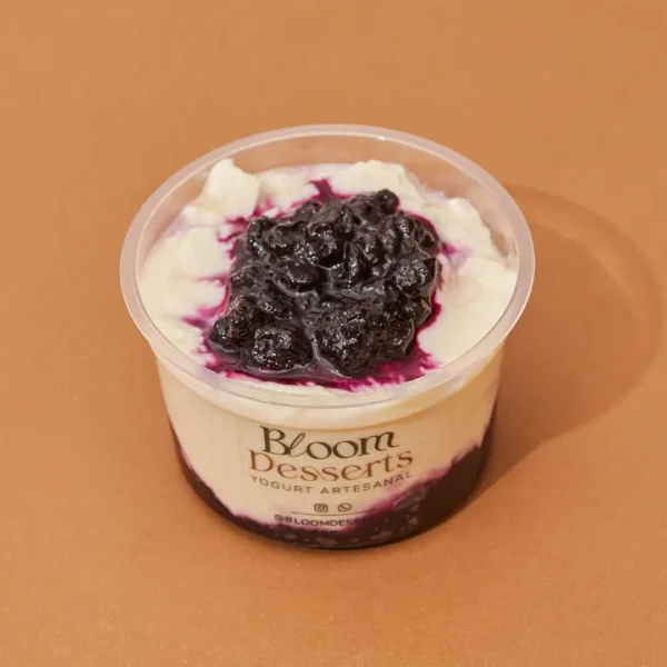 yogurt arandanos 220grs